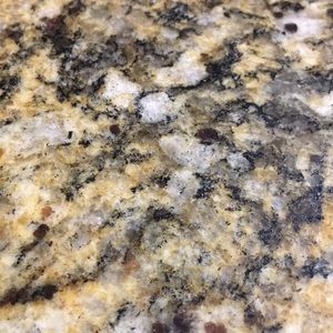 Meet your Posher, Veronica